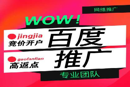案例分析：竞价推广助力企业快速增长